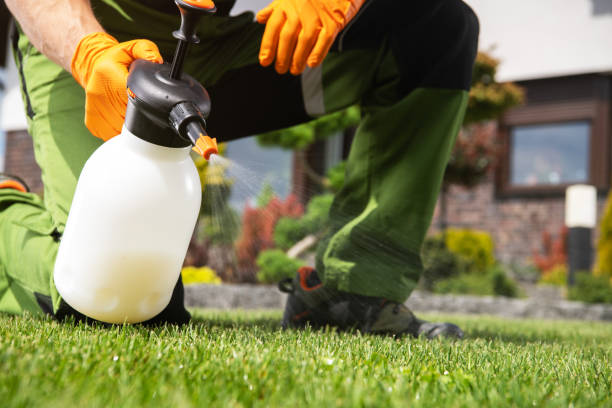 Best Mosquito Control Services  in Weston, FL