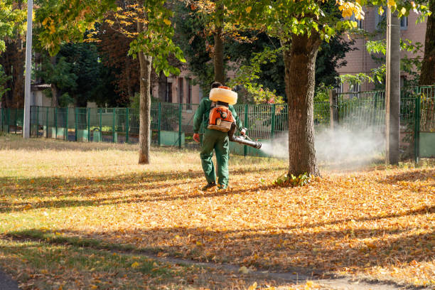Best Local Pest Control Services  in Weston, FL