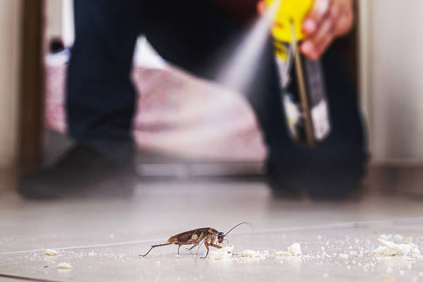 Best Residential Pest Control  in Weston, FL